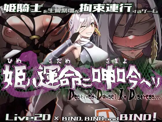 [动作ARPG/动态/恶堕/更新] 姬在命运中呻吟 姫ハ運命ニ呻吟ヘリ Destined Damsel In Distress ver1.0.4 AI汉化版