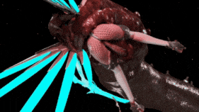 【4K/无修/无水印】【白丝 巨乳 触手 捆绑 爆操 中出】新作-[ATD]-ULTPHI 04 LIGHT WARRIORS moz FULL2G -第6张图片-萌站