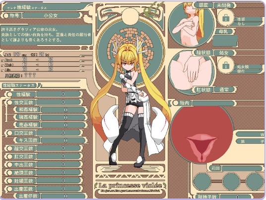 【动作/ARPG/异种X/像素/动态】 被侵犯的公主 Violated Princess Ver1.06.3 社团翻译版 官中版 [910M]【序号956】-第3张图片-萌站