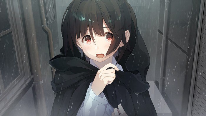  【PC游戏】[汉化硬盘版]流星世界演绎者-流星ワールドアクター   #GAL   -第3张图片-萌站
