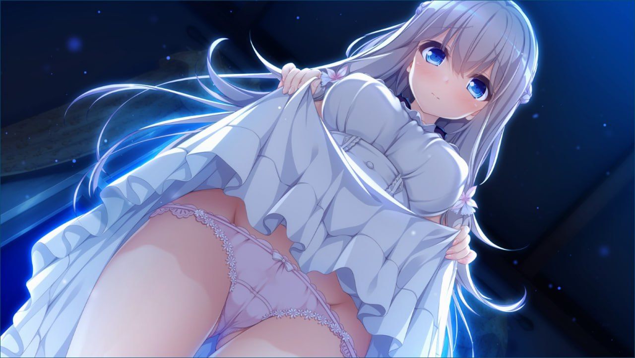 #H426   【PC游戏】[汉化硬盘版]候鸟的梦-渡り鳥のソムニウム   #GAL    