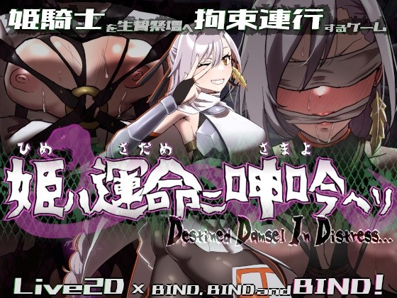 更新[动作ARPG/恶堕/动态] 姬在命运中呻吟 姫ハ運命ニ呻吟ヘリ Destined Damsel In Distress ver1.0.4 AI汉化版 [1.30G]