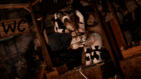 【4K/无修/无水印】【巨乳 黑丝 女仆 捆绑 乳摇 后入 爆操 爆射 中出】新作-ElarbabyD30-人间牧场-第3张图片-萌站