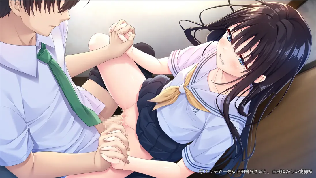 【日系RPG精品官中动态】痴情哥哥与病弱妹妹的乡间生活 +Append.01 官方中文版【3.03GCV】-第2张图片-萌站
