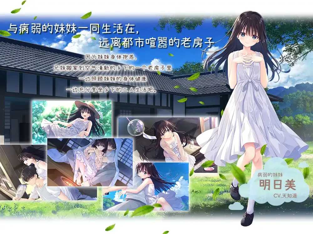 【日系RPG精品官中动态】痴情哥哥与病弱妹妹的乡间生活 +Append.01 官方中文版【3.03GCV】-第14张图片-萌站