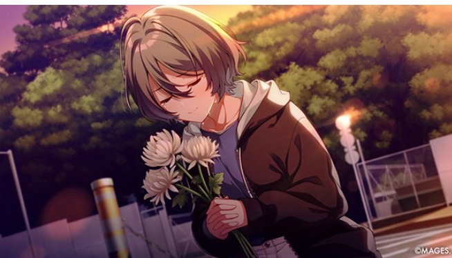 【日式/ADV/中文】SINce Memories 星穹之下 数字版SINce Memories Off The Starry Sky) v1.0.0 官方中文版【3.9G全CV】【序号1064】-第2张图片-萌站
