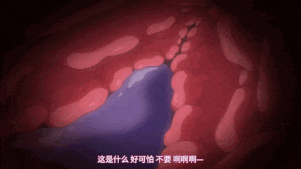 魔法少女ノーブル・ローズ THE ANIMATION 第1巻 [中文字幕]