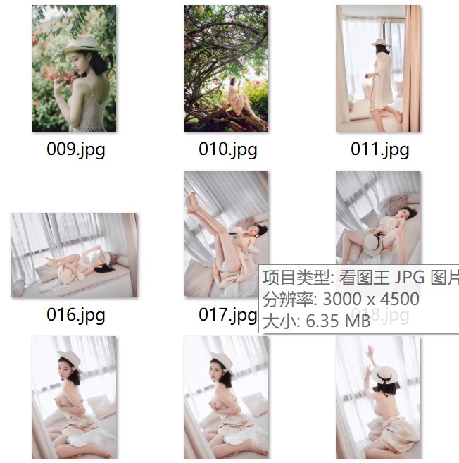 年年Nnian 小图集 7个风格部分 241P+3V-第2张图片-萌站