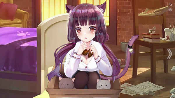 #猫咪夜生活