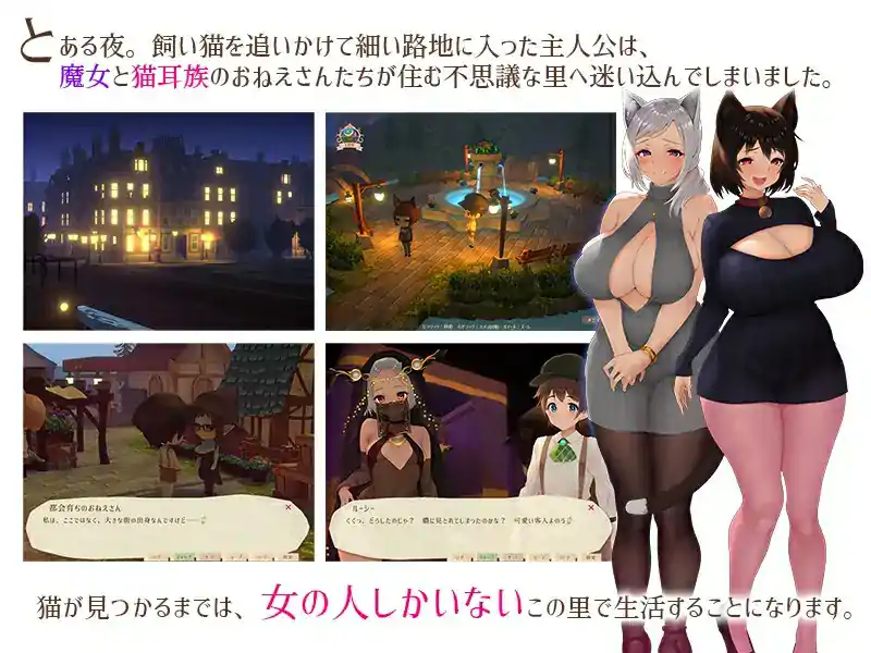  [精品RPG汉化]魔女与猫的桃源乡魔女と猫の隠れ里Ver1.01 中文版+全CG存档电脑1.07G-第3张图片-萌站