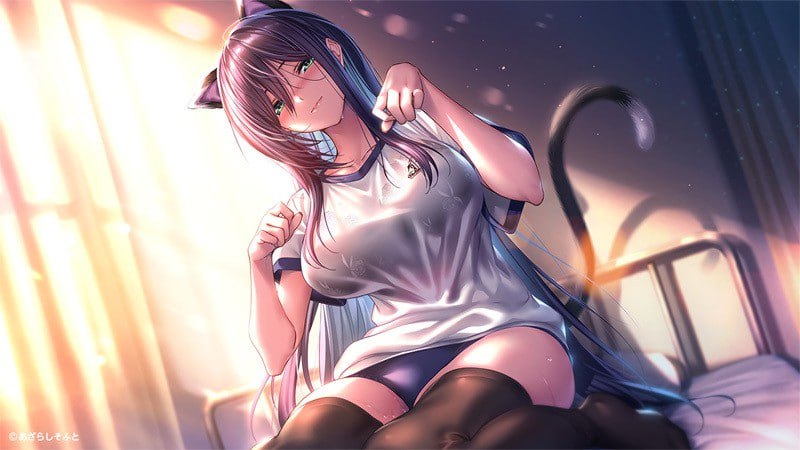 PC/ADV/#甜蜜女友2+   #アマカノ2＋ 汉化版【完美版】【白鷺园艺移植组】