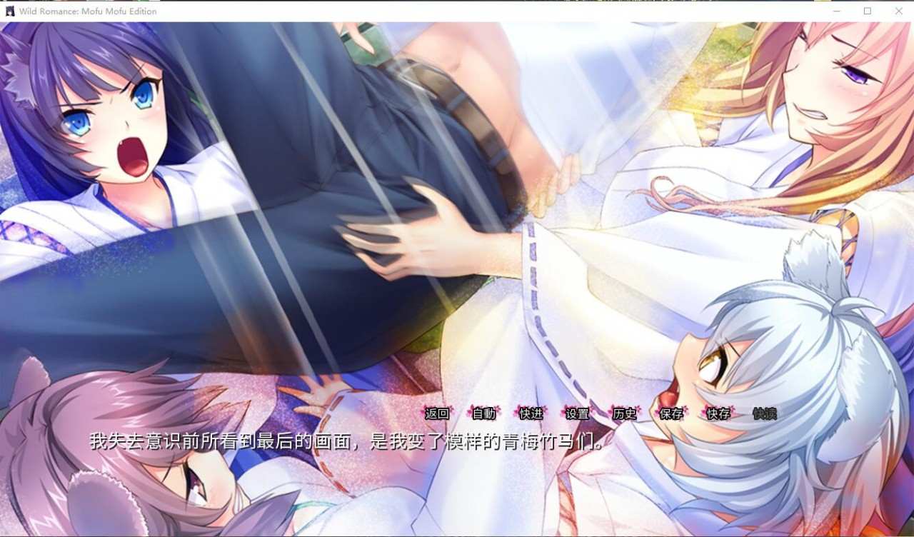 我的兽耳后宫~野性的浪漫 中文汉化版-第3张图片-萌站