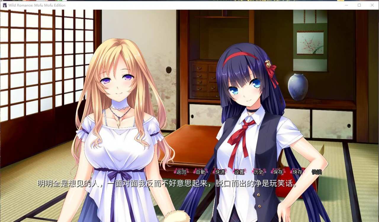 我的兽耳后宫~野性的浪漫 中文汉化版-第2张图片-萌站