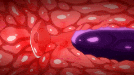 【动画/触手/束缚/调教/爆操】[桜都字幕组][200124][さくらぷりんアニメーション] 腐界に眠る王女のアバドーン THE ANIMATION -act.1 未亜--第3张图片-萌站