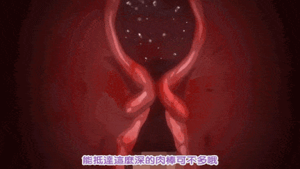 【动画/乘骑/中出/后入/爆操】[桜都字幕组][200403][あんてきぬすっ]OVA色情教団＃1-2