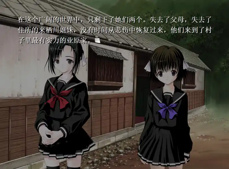 【GPT3.5汉化2DADV]圣殇~幸福的青鸟~ ピエタ～幸せの青い鳥～[电脑548M]￼￼-第3张图片-萌站
