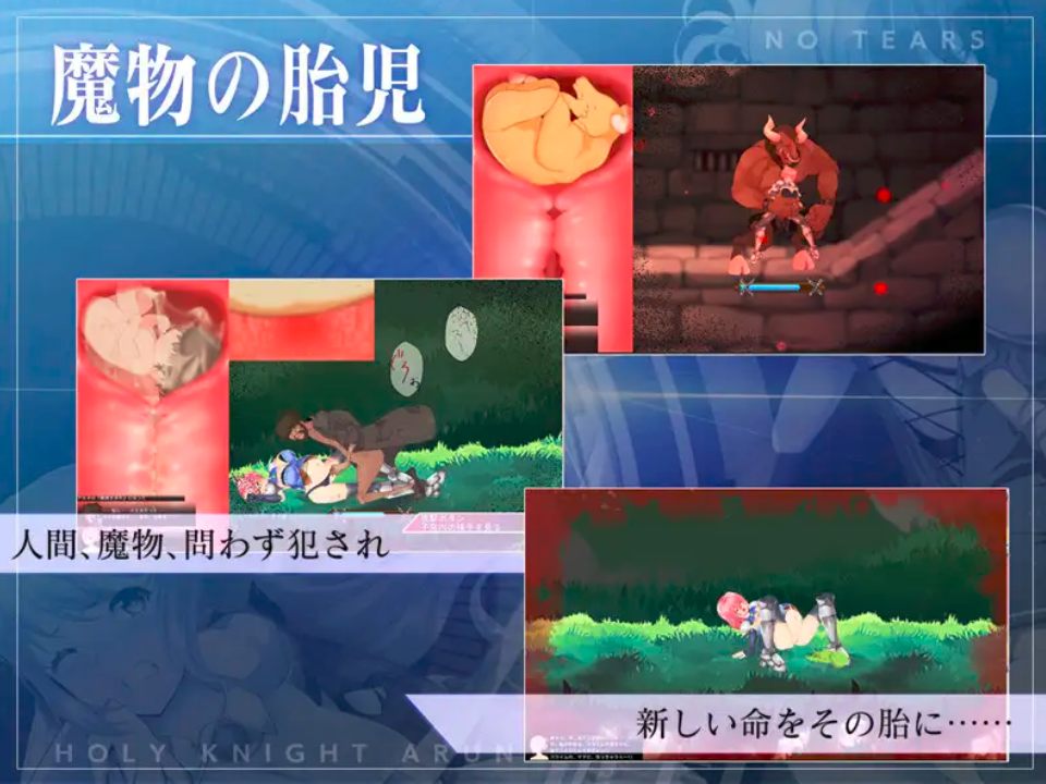 [ACT/官中/动态/更新] 圣骑士阿恩与魔孕咒印（聖騎士アルネと魔孕の呪印～Another No Tears～）Ver1.0.10-第2张图片-萌站