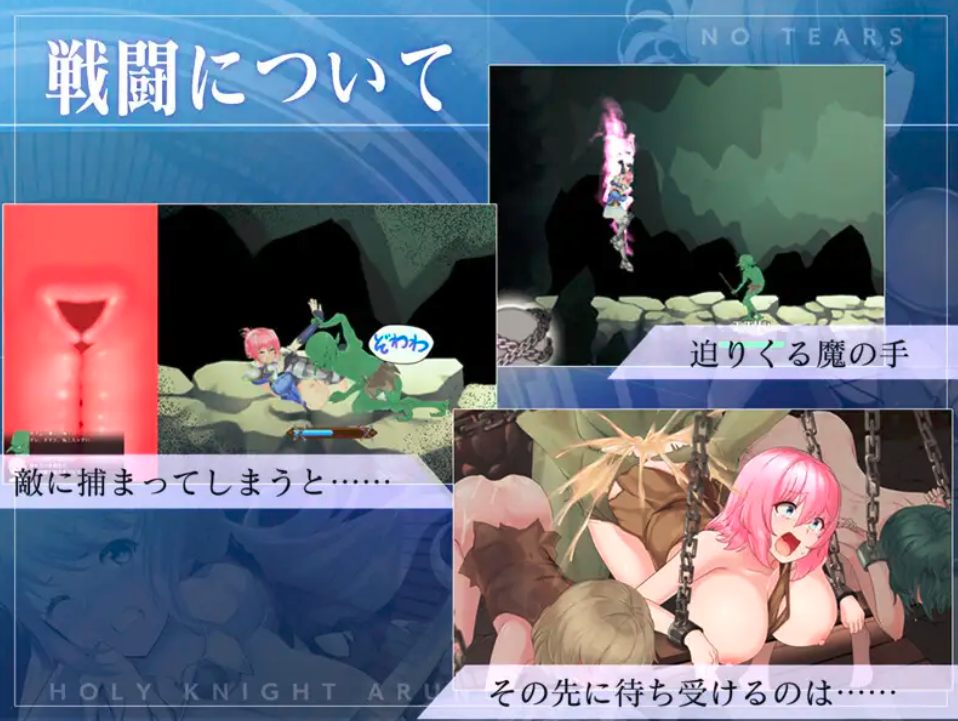 [ACT/官中/动态/更新] 圣骑士阿恩与魔孕咒印（聖騎士アルネと魔孕の呪印～Another No Tears～）Ver1.0.10-第3张图片-萌站