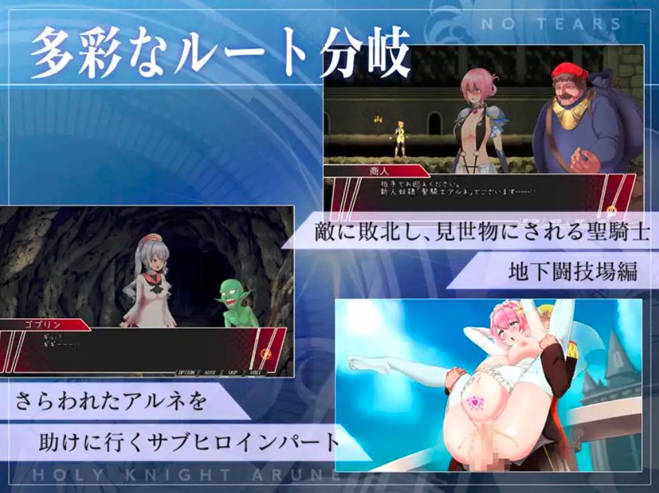 [ACT/官中/动态/更新] 圣骑士阿恩与魔孕咒印（聖騎士アルネと魔孕の呪印～Another No Tears～）Ver1.0.10-第5张图片-萌站