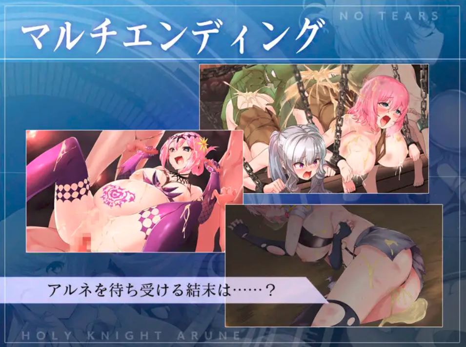 [ACT/官中/动态/更新] 圣骑士阿恩与魔孕咒印（聖騎士アルネと魔孕の呪印～Another No Tears～）Ver1.0.10-第8张图片-萌站