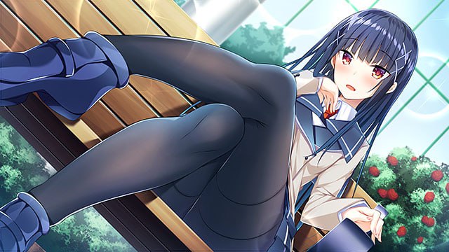 PC/[ADV] 汉化版+全CG存档  向你逼近的少女课程  キミに迫るオトメのレッスン-第2张图片-萌站