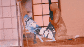 【巨乳 黑丝 白丝 乳摇 骑乘 后入 爆操 爆射 喷潮 中出】新作-［崩三定制］大格蕾修的皮裤-第12张图片-萌站