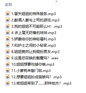 中文音声-姐姐系列-R18-13部