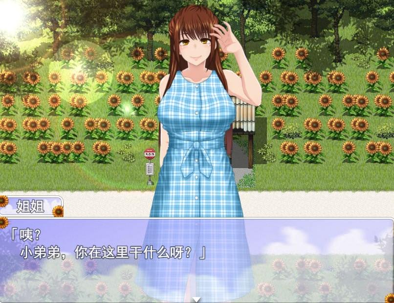 【PC/2部合集/爆款RPG/小马大车/斗虫/后宫/动态】我暑假的秘密回忆1&2【共2GB】【官方中文/精翻汉化】【原名：ぼくのひみつの夏休み】-第4张图片-萌站