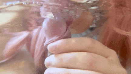 [短视频]视=12白虎女孩清洗骚穴，淫水止不住往下流