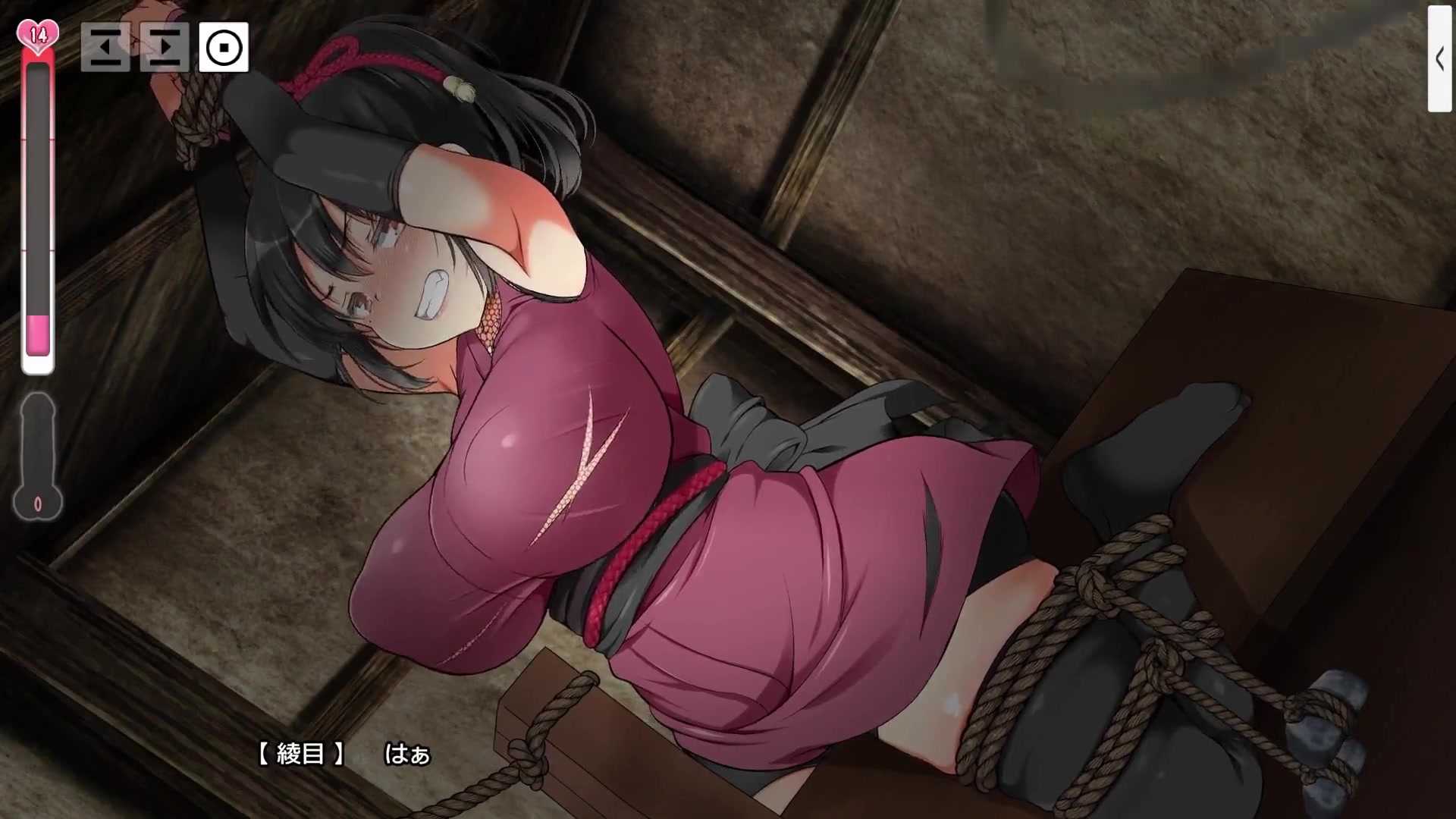 steam游戏忍堕の女忍调教 动态全CG带日语超绝CV 各种xp任你挑选 sm、扶她、触手等 四小时超长合集-第15张图片-萌站