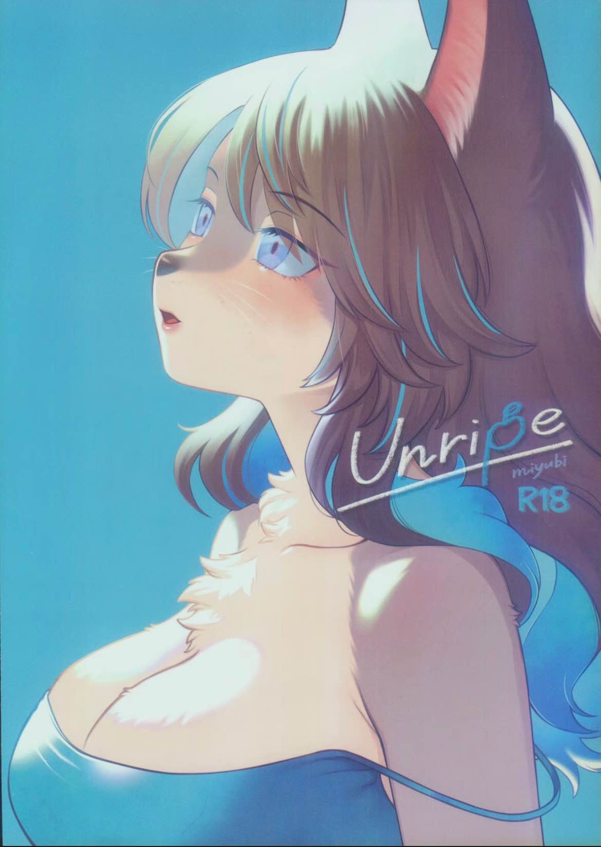 kiichi28部高质furry漫画合集