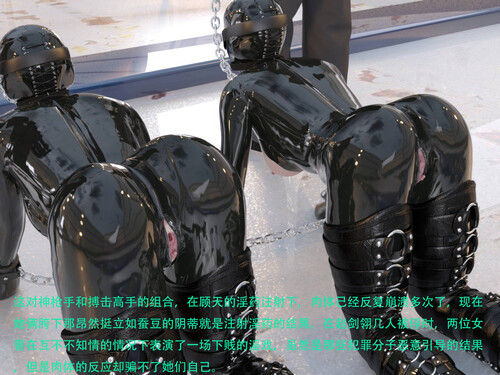 蹂躏女刑警-宿命01-09+小剧场+特典X2+番外+DLCX2+小說X29-第2张图片-萌站