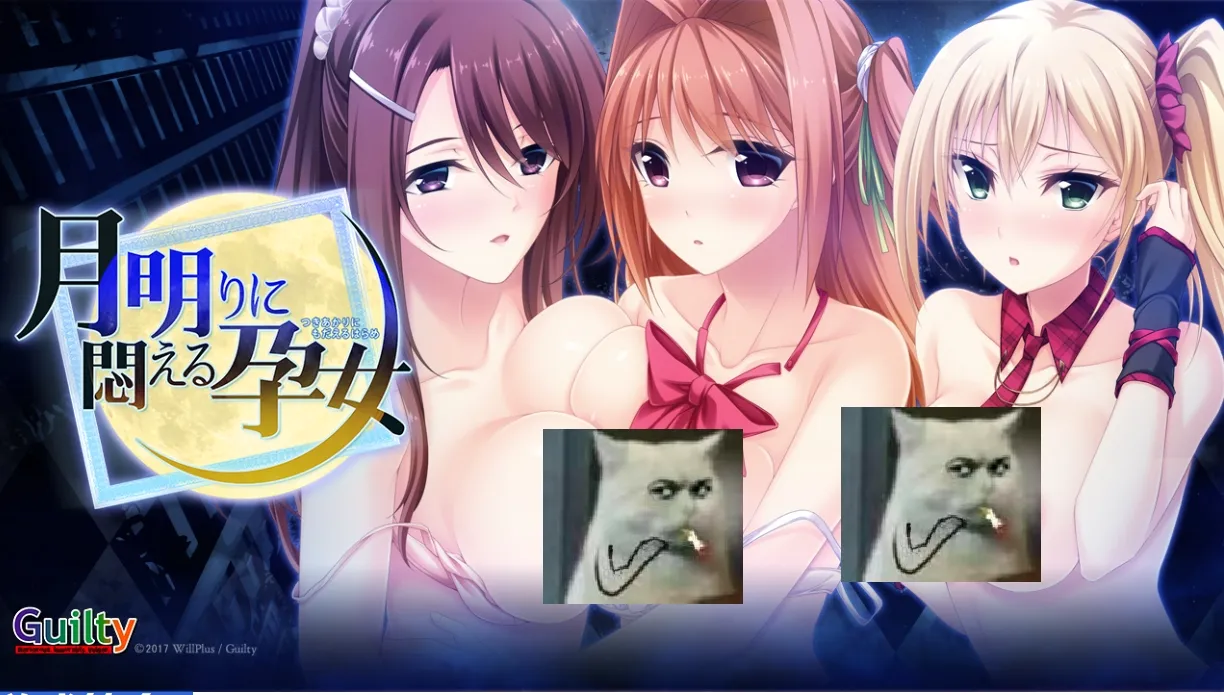  新汉化[日式ADV] 在月光下苦闷的孕女 月明りに悶える孕女 AI汉化版 [1.10G]