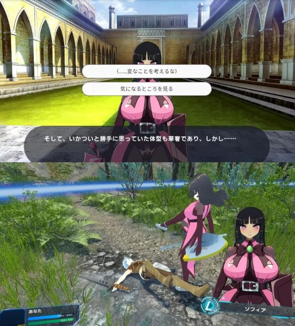  [3D动作/动态/新作/PC] 身经百战的你 VS 新手女兵 v1.0.0 机翻版 [1+1.2G][百度盘]-第3张图片-萌站