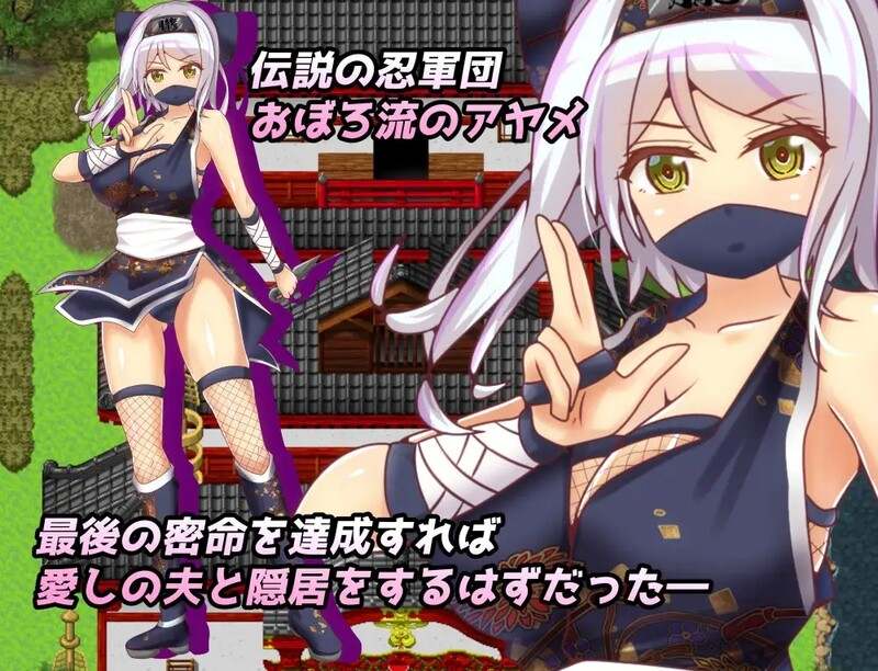 【回合RPG/动态/官中】戴绿帽子的国一忍者（Ninja Infiltration）正式版 STEAM官中【400MB】