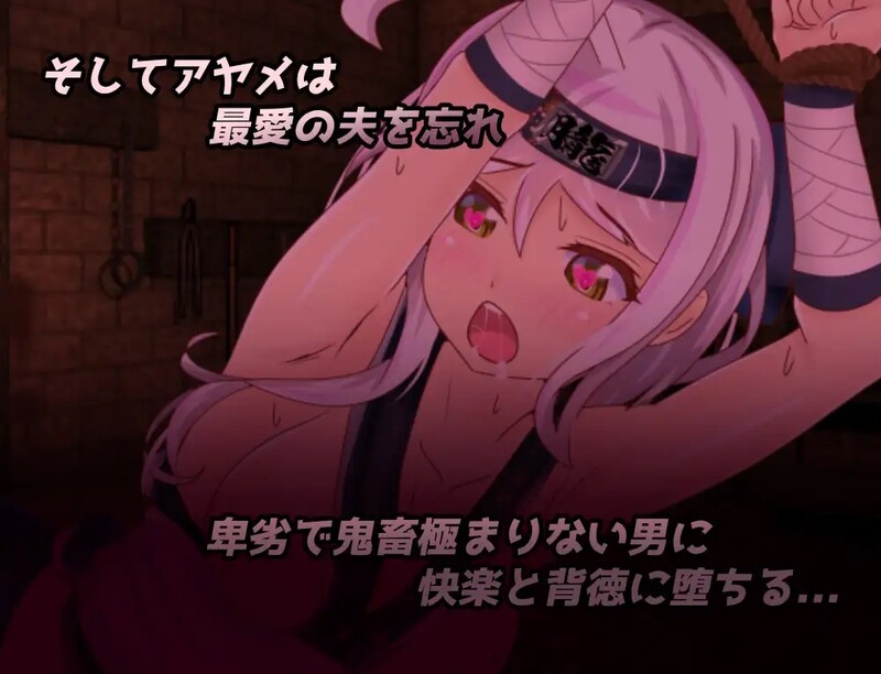 【回合RPG/动态/官中】戴绿帽子的国一忍者（Ninja Infiltration）正式版 STEAM官中【400MB】-第2张图片-萌站