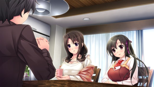 PC/ADV] AI汉化版+全CG存档  我绝对不能告诉哥哥的重要事情  お兄ちゃんにはぜったい言えないたいせつなこと