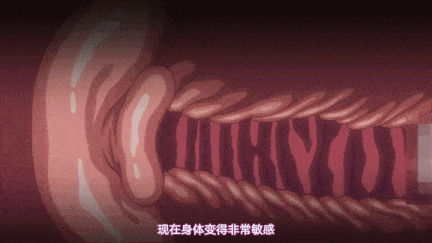 [动画]-剧情版-视=3[Queen Bee]マゾメスソープで逢いましょう！ 後編[chin].chs-第5张图片-萌站