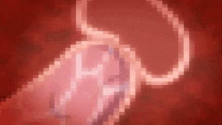 [动画]-剧情版-视=20[魔人]祓魔○女シャルロット 第二話 絶体絶命のシャルロット。聖衣が白濁液に染まる夜に……。-第2张图片-萌站