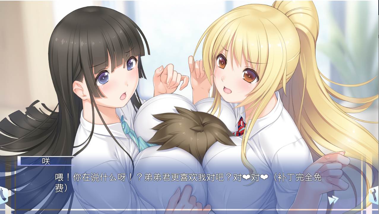 【拔作/ADV/汉化/骨科】姐姐我～什么都可以为你做哦~ お姉ちゃんが「なんでもして」あげちゃう AI汉化内嵌版+存档【1.69G】【序号1517】