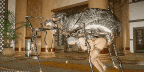 【巨乳 虫交 黑丝 口交 吞精 后入 爆操 爆射 喷潮 中出】新作-【skyrim】(insect)甘雨x蜘蛛 Ganyu x Spider-第2张图片-萌站 【巨乳 虫交 黑丝 口交 吞精 后入 爆操 爆射 喷潮 中出】新作-【skyrim】(insect)甘雨x蜘蛛 Ganyu x Spider-第2张图片-萌站