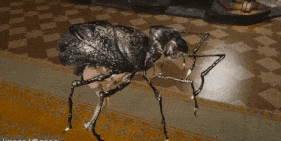 【巨乳 虫交 黑丝 口交 吞精 后入 爆操 爆射 喷潮 中出】新作-【skyrim】(insect)甘雨x蜘蛛 Ganyu x Spider-第8张图片-萌站 【巨乳 虫交 黑丝 口交 吞精 后入 爆操 爆射 喷潮 中出】新作-【skyrim】(insect)甘雨x蜘蛛 Ganyu x Spider-第8张图片-萌站