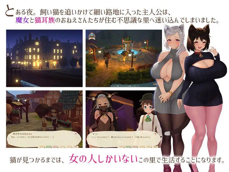 电脑端【3D互动探索/爆乳魔女/全动态】 魔女与猫的桃源乡（魔女と猫の隠れ里） V1.01 DL官方中文+全CG存档【1.10GB