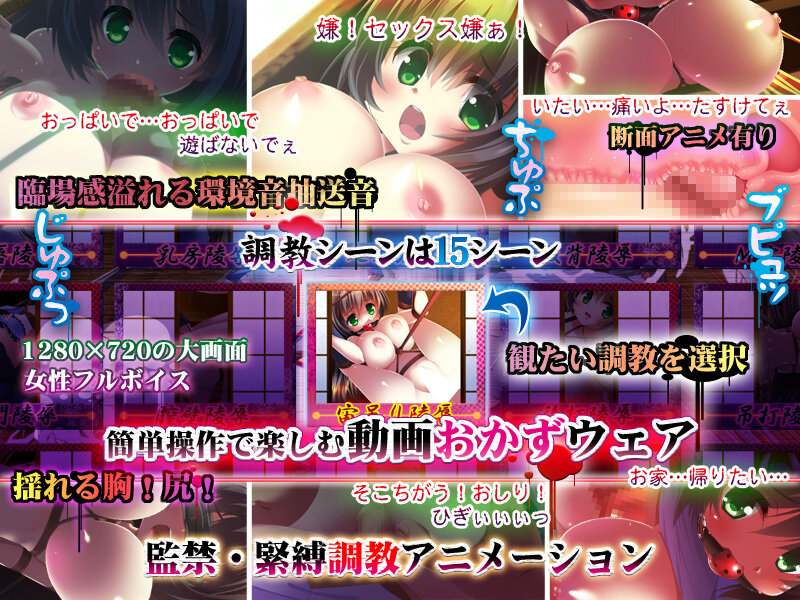 【ADV/PC/汉化/动态/巨乳/】女子高生と和室 善明すみれ 巨乳少女悦虐の緊縛飼育-第3张图片-萌站
