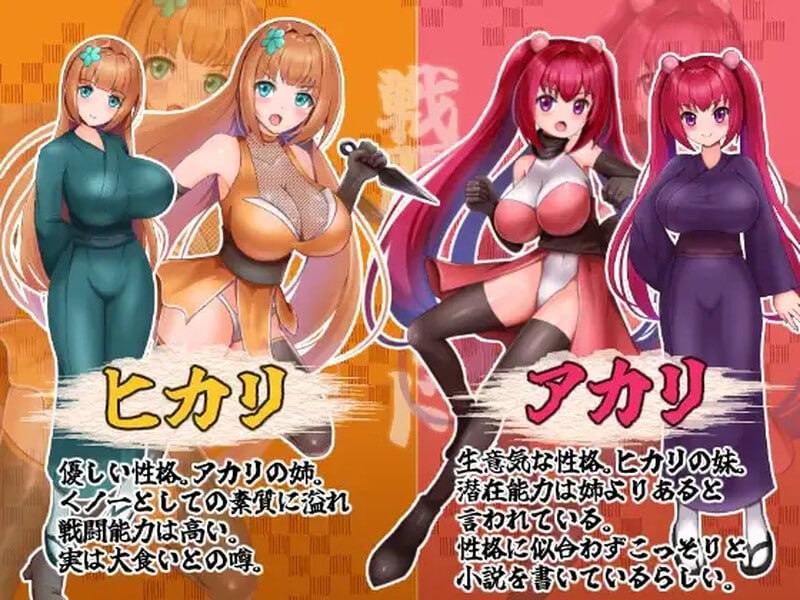 PC/RPG/#恶代官VS正义女刺客 #悪代官バーサス正義のくノ一 v1.0 AI汉化版-第4张图片-萌站