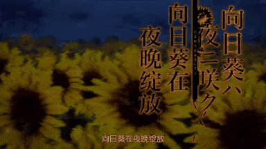 视=1[桜都字幕组][あんてきぬすっ]OVA 向日葵ハ夜ニ咲ク-第12张图片-萌站