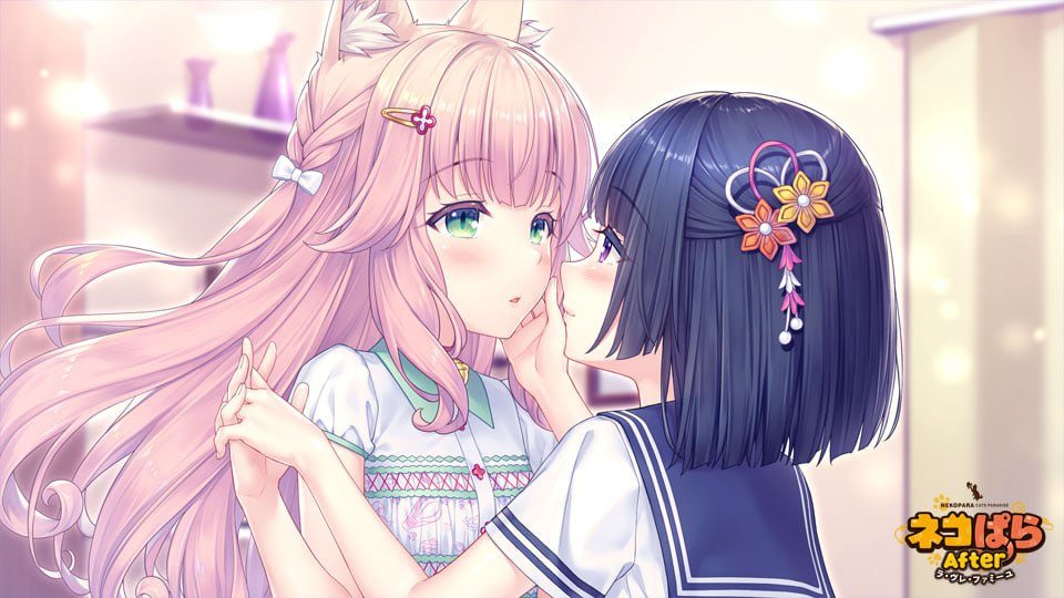 电脑端//ADV/#猫娘乐园After La Folie Familiale   #ネコぱらAfter ラ・ブレ・ファミーユ 官方中文版+存档【2025年06月13日0点 发售】