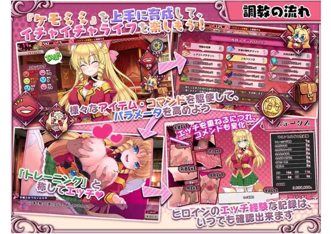 [SLG] PC--兽耳☆训练 ～狂暴兽耳大小姐的养成～（ケモミミ☆ト...-第2张图片-萌站