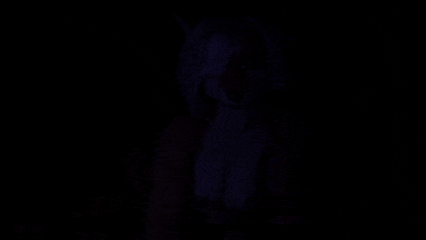 【动画/兽交/乘骑/爆操】年轻放荡的毛茸茸的狐狸女孩随着音乐性感地骑乘大鸡巴-第2张图片-萌站