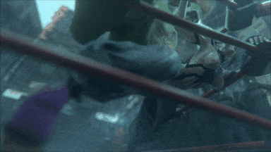 视=4[3D]Gifdoozer-05-03-Juri_X_Blanka韩蛛俐VS布兰卡[400M]
